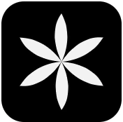 ARVEXI logo