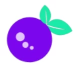 BerryViral - AI Thumbnail Intelligence for YouTube Creators