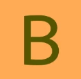 Biomogging logo