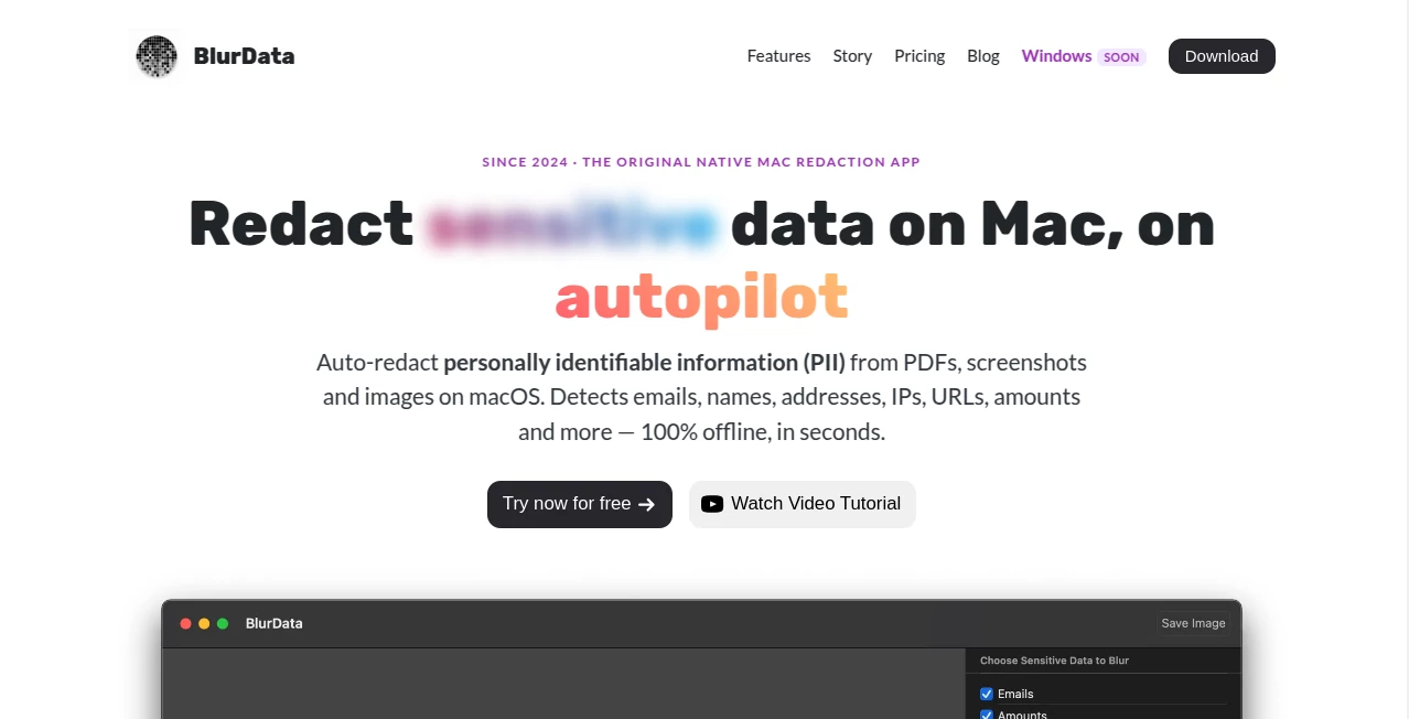 Screenshot of BlurData – An AI tool in the ,AI PDF ,AI Productivity Tools ,AI Image Scanning ,AI Developer Tools  category, showcasing its interface and key features.