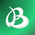 brandolia - Instantly Create Your Brand Identity with AI