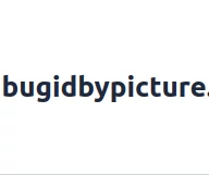 AI Bug Identifier - AI Bug Analysis Tool - Identify Bugs and Insects Instantly with AI-Powered Image Analysis