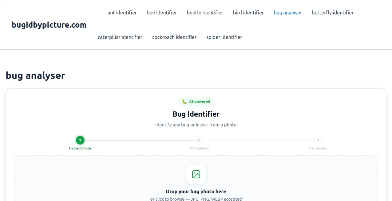 Screenshot of AI Bug Identifier - AI Bug Analysis Tool – An AI tool in the ,AI Photography ,AI Image Scanning ,AI Image Recognition ,AI Education Assistant  category, showcasing its interface and key features.