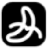 CopySlides logo
