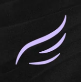 Dedalus Labs logo