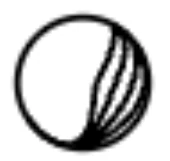 DeepJournal - The AI Journal That Remembers