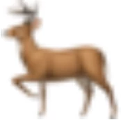 DeerFlow logo