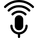 Voice category