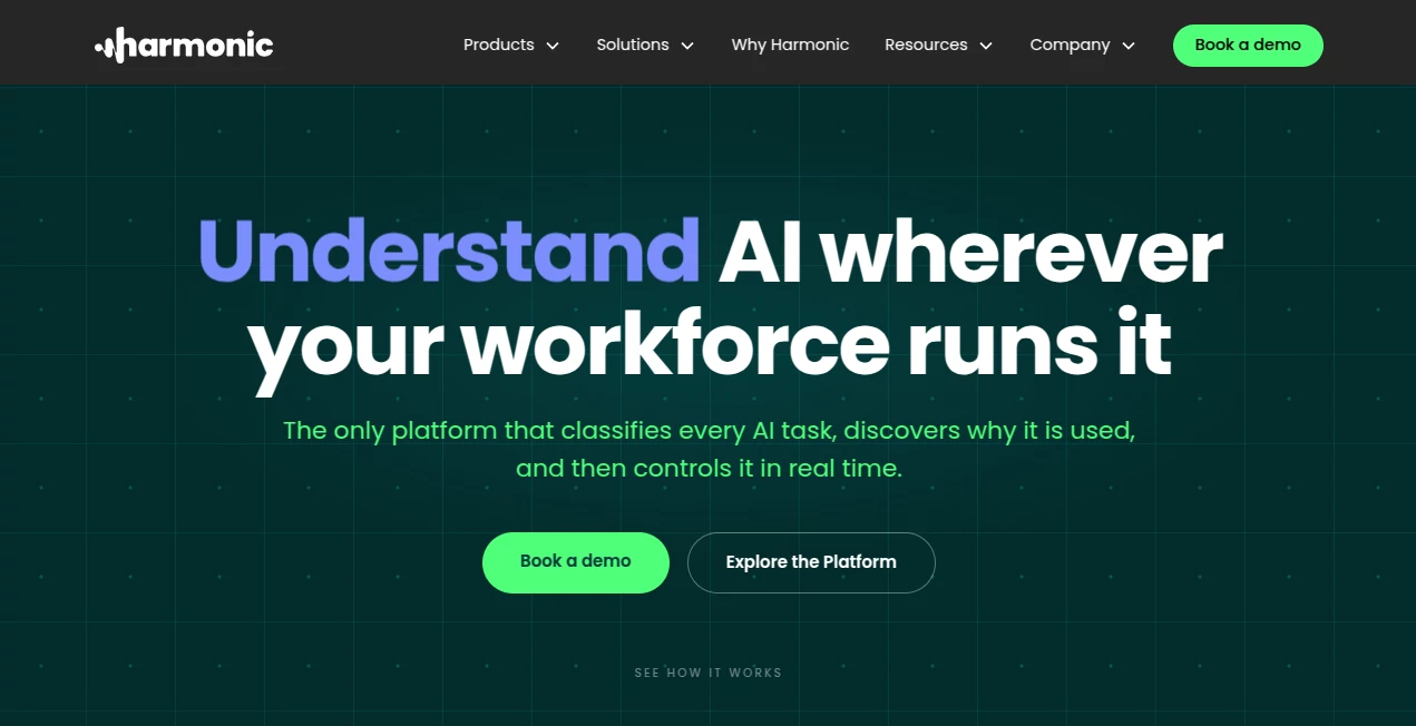 Screenshot of Harmonic Security – An AI tool in the ,Other ,AI Research Tool ,AI Developer Tools ,Business  category, showcasing its interface and key features.