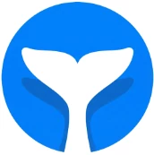 Intempt logo
