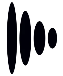 Lissin logo