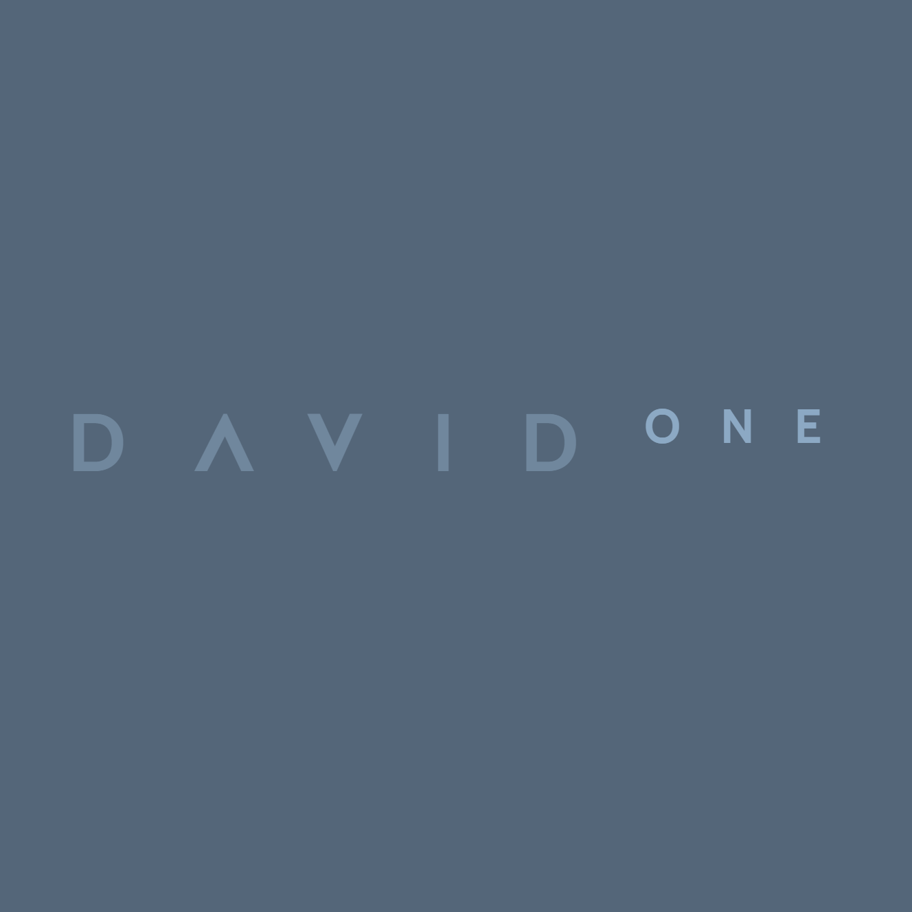 David One - <p>Your own AI powered with video understanding, web search and more
</p>