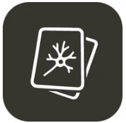 MindDory - Turn scattered thoughts into structured clarity with ease