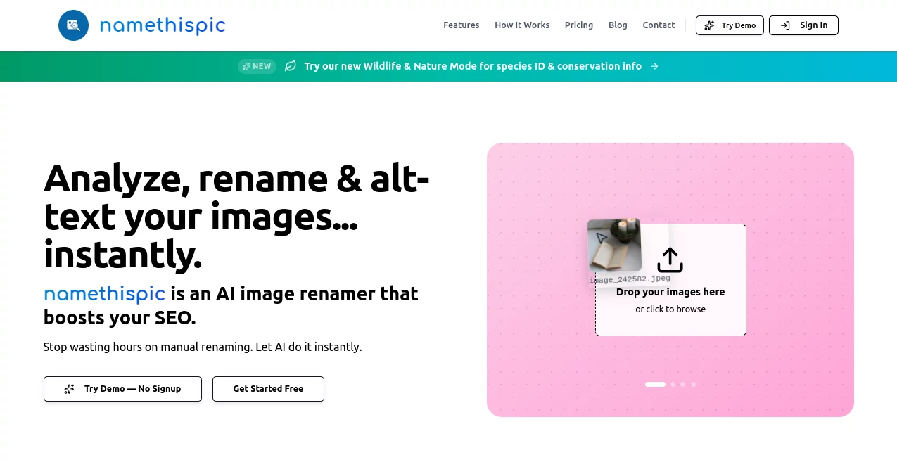 Screenshot of NameThisPic – An AI tool in the ,AI Content Generator ,AI Photo & Image Generator ,Photo & Image Editor ,AI Fun Tools  category, showcasing its interface and key features.