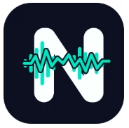 noise cleaner logo