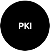 Painkiller Ideas logo