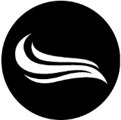Parsestream logo