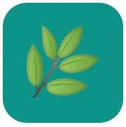 PollenTracker - Real-Time Allergy &amp; Airborne Pollen Forecasts