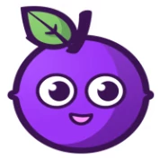 Pruna AI logo