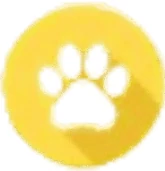 Bushra Noreen - Random Animal Generator – Discover Animals, Facts & Pet Tools