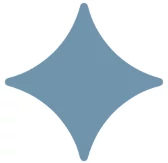 Seed Imagine logo