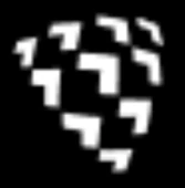 Shield AI logo
