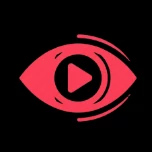 SneakStory - Free Anonymous TikTok Story Viewer
