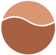 Stageflow logo