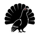 Standard Compute - Unlimited AI Compute for AI Agents