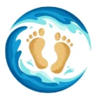 AI Surf Coach logo