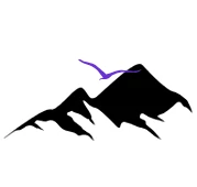 Thrive Financial - Forensic Financial Analysis for Divorce