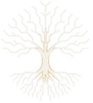 TruthSpine logo