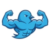 Twibird logo
