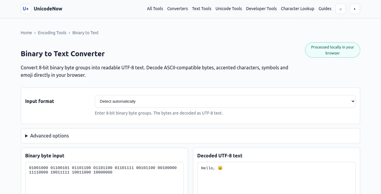 Screenshot of Binary to Text Converter – An AI tool in the ,Code & IT ,AI Developer Tools  category, showcasing its interface and key features.