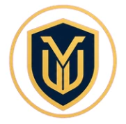 Vault Executive logo