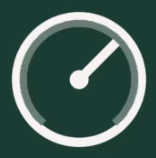 WordPress Speed Optimization Service logo